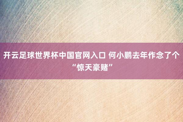 開云足球世界杯中國官網入口 何小鵬去年作念了個“驚天豪賭”
