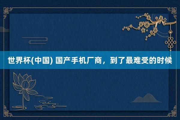 世界杯(中國) 國產手機廠商，到了最難受的時候