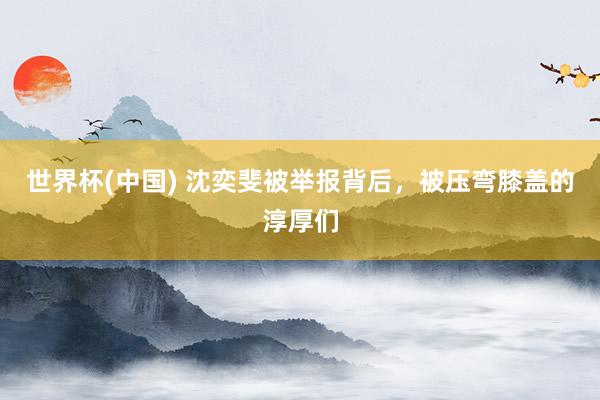 世界杯(中國) 沈奕斐被舉報背后，被壓彎膝蓋的淳厚們