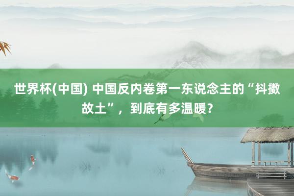世界杯(中國) 中國反內卷第一東說念主的“抖擻故土”，到底有多溫暖？