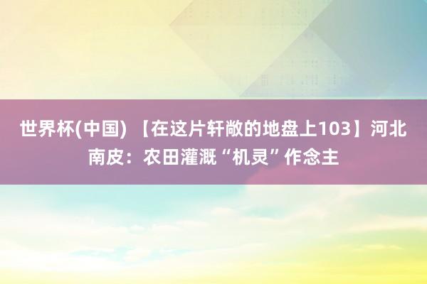 世界杯(中國) 【在這片軒敞的地盤上103】河北南皮：農(nóng)田灌溉“機靈”作念主
