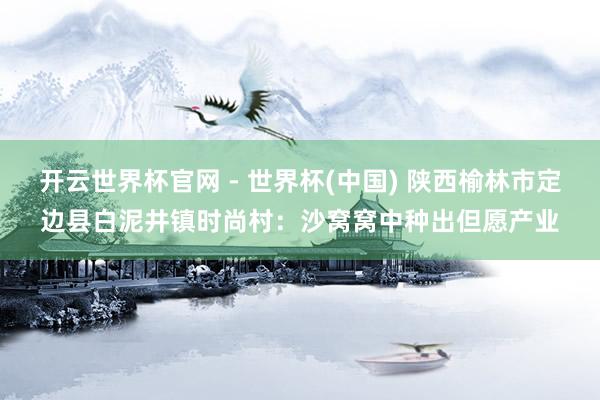 開云世界杯官網 - 世界杯(中國) 陜西榆林市定邊縣白泥井鎮時尚村：沙窩窩中種出但愿產業