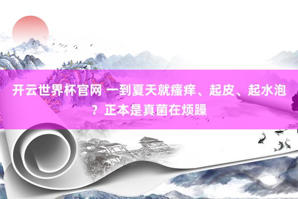 開云世界杯官網(wǎng) 一到夏天就瘙癢、起皮、起水泡？正本是真菌在煩躁