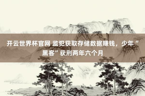 開云世界杯官網 監犯獲取存儲數據賺錢，少年“黑客”獲刑兩年六個月