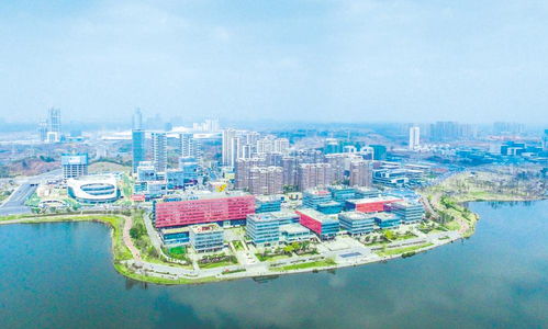 圖讀2021年成都市產(chǎn)業(yè)生態(tài)圈規(guī)劃——計算機網(wǎng)絡(luò)技術(shù)開發(fā)領(lǐng)域重點解析